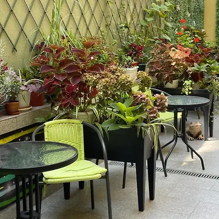 מלון Art Boutique